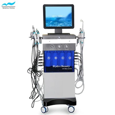 10-in-1-Gesichts-Spa-Multifunktions-Schönheitsgerät